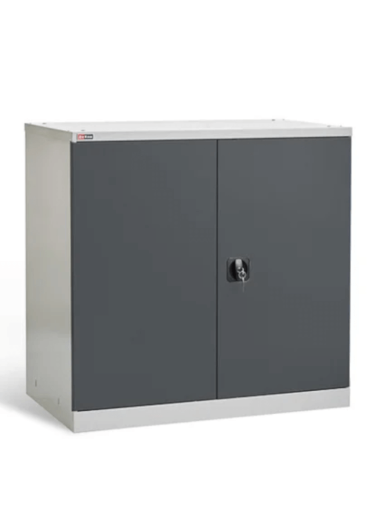 Шкаф инструментальный ДиКом ВЛ-051-02 купить в Омске Шкаф инструментальный ДиКом ВЛ-051-02 купить в Омске