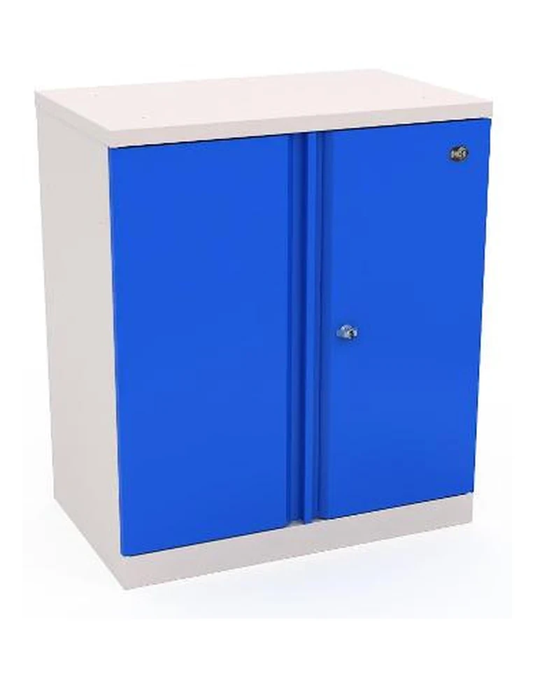 Шкаф инструментальный ERGO 181/2 №2 купить в Омске