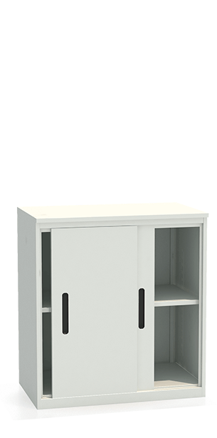 Шкаф-купе архивный ALS-8896 купить в Омске