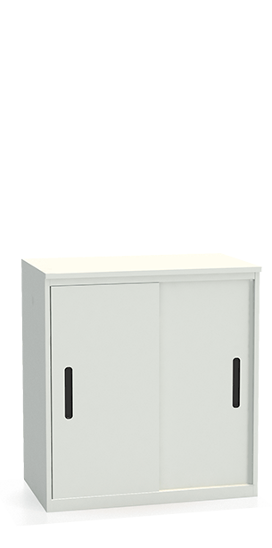 Шкаф-купе архивный ALS-8896 купить в Омске